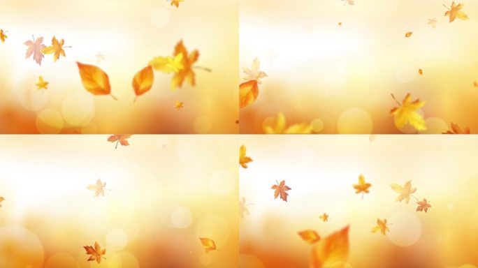 金色枫叶秋天季粒子唯美背景