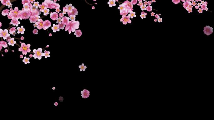 唯美粉色花朵花瓣飘落边框遮罩