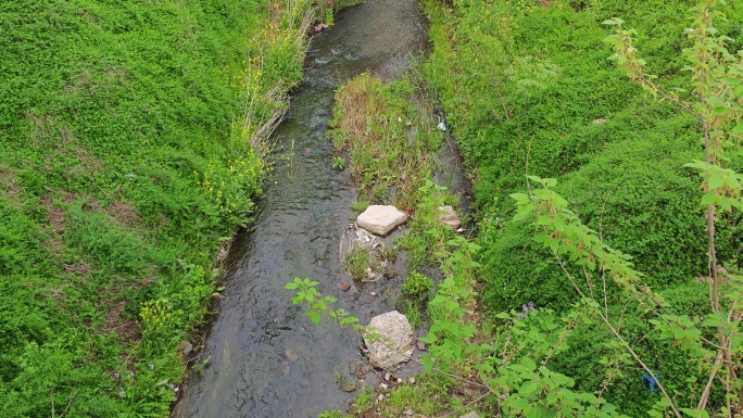 城市引水渠河渠小河绿化环境