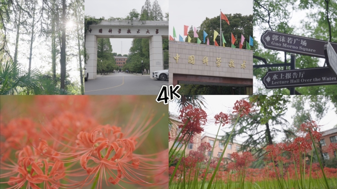 大学校园风景,彼岸花开4K空镜合辑