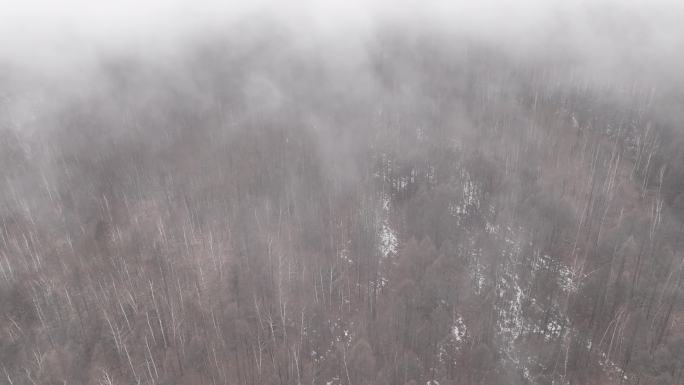 大兴安岭冷春山林残雪云雾