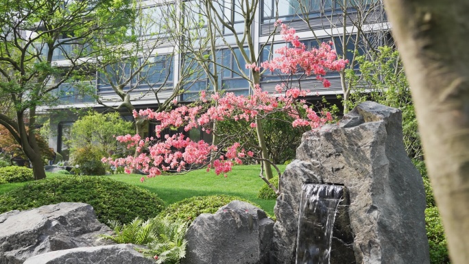 杜鹃花和流水景观