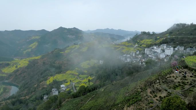 航拍安徽石潭村春天油菜花田晨雾