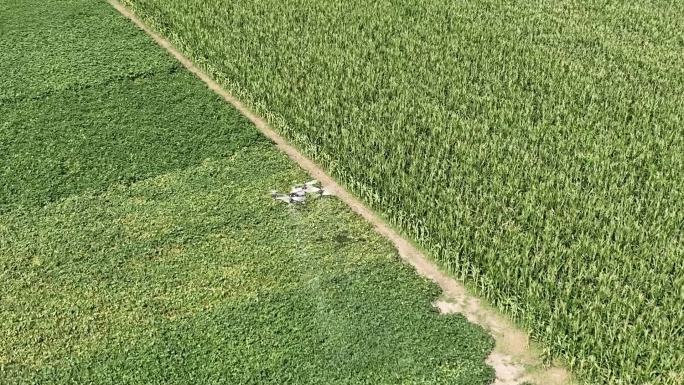 无人机喷撒农药航拍