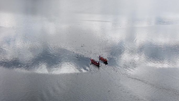 4k航拍泸沽湖 海鸥 划船