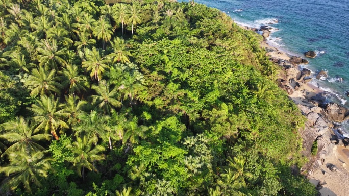 热带风景椰林海岸日月湾空镜头