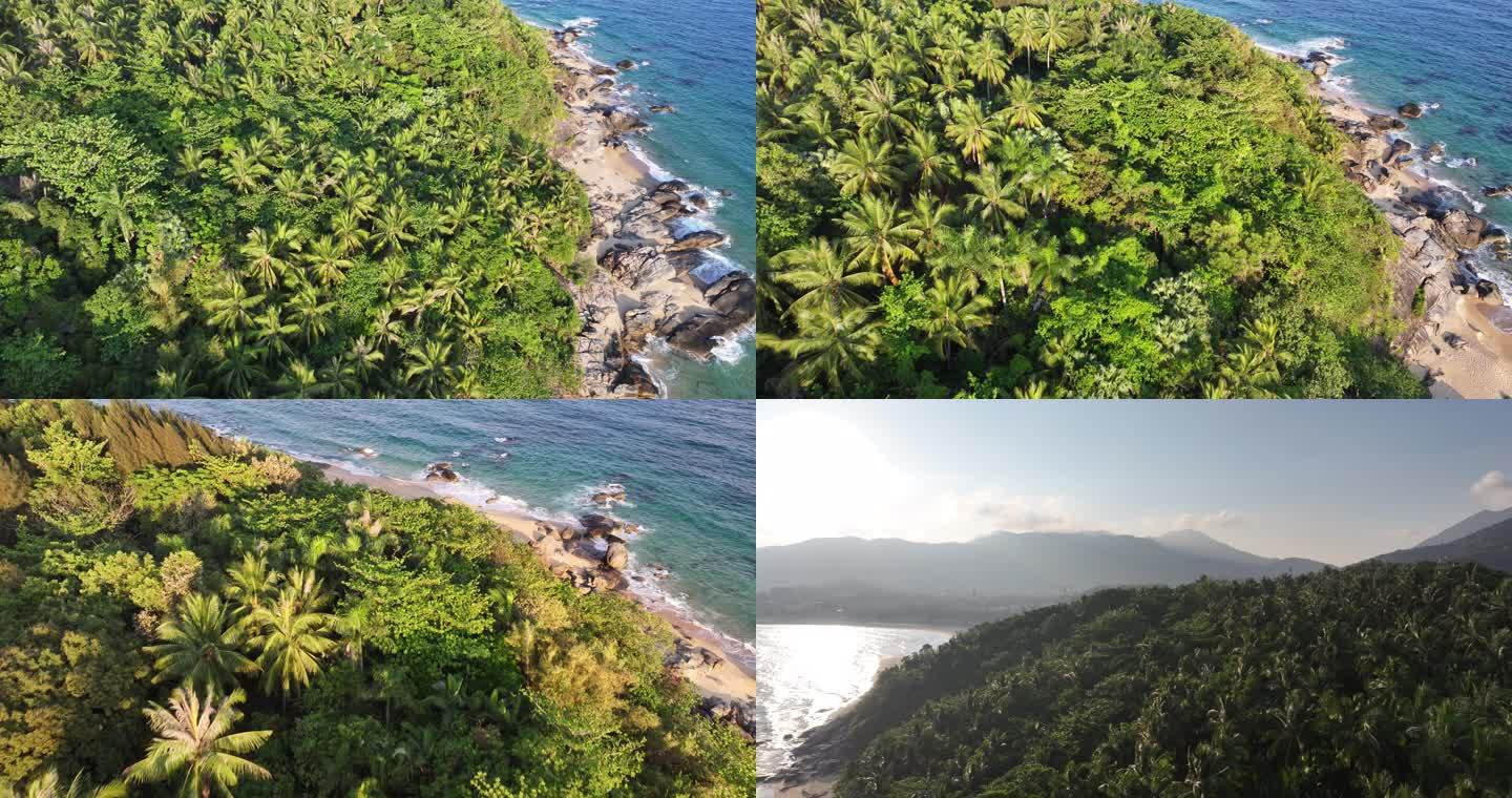 热带风景椰林海岸日月湾空镜头