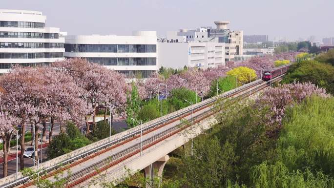 高清实拍北京亦庄轻轨城铁驶过泡桐花海大道