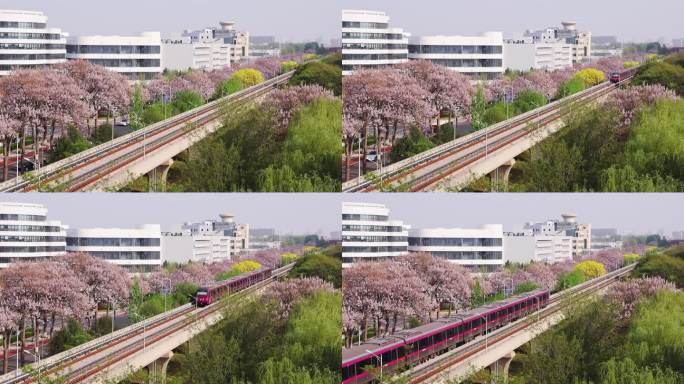 高清实拍北京亦庄轻轨城铁驶过泡桐花海大道