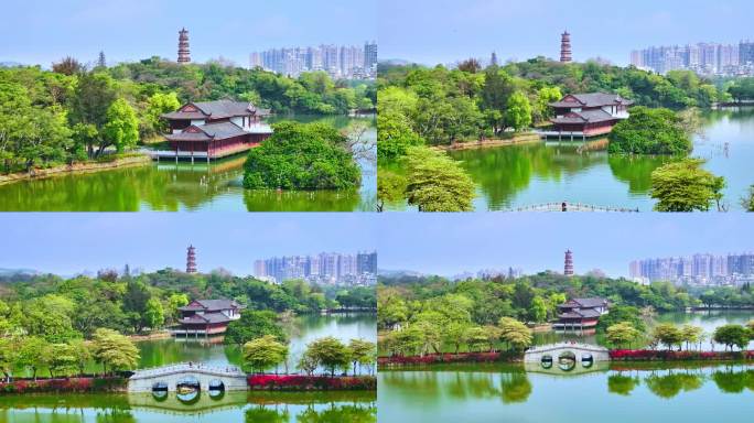 惠州西湖鱼木花航拍视频-4K