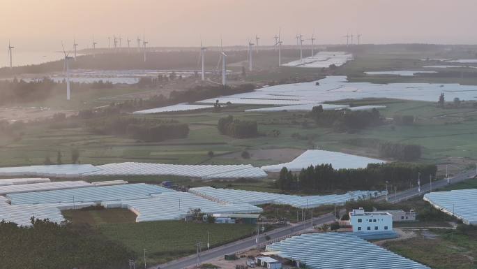 4K-Log-航拍海南美丽乡村，板桥镇