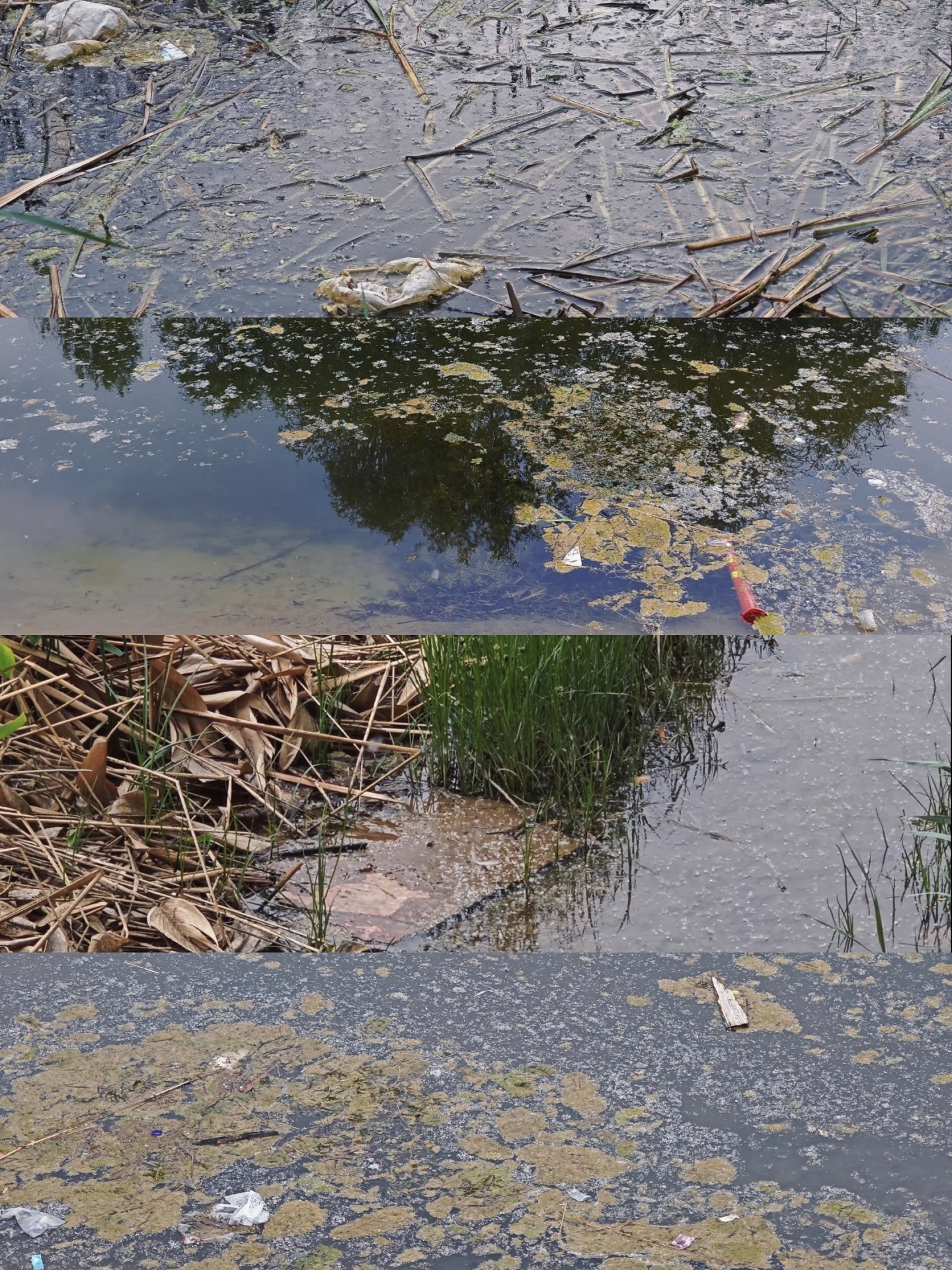 河道环境污染废水污水排放