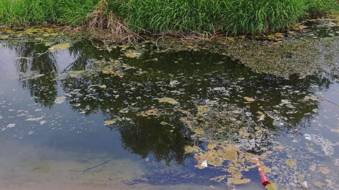 河道环境污染废水污水排放