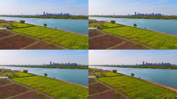 石家庄滹沱河太行大街湿地水系航拍