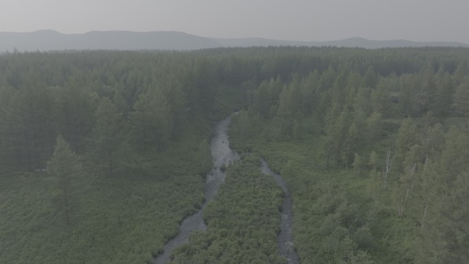 航拍溪流森林自然风景