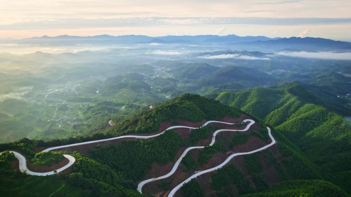 河源龙王嶂茶园航拍视频-4K