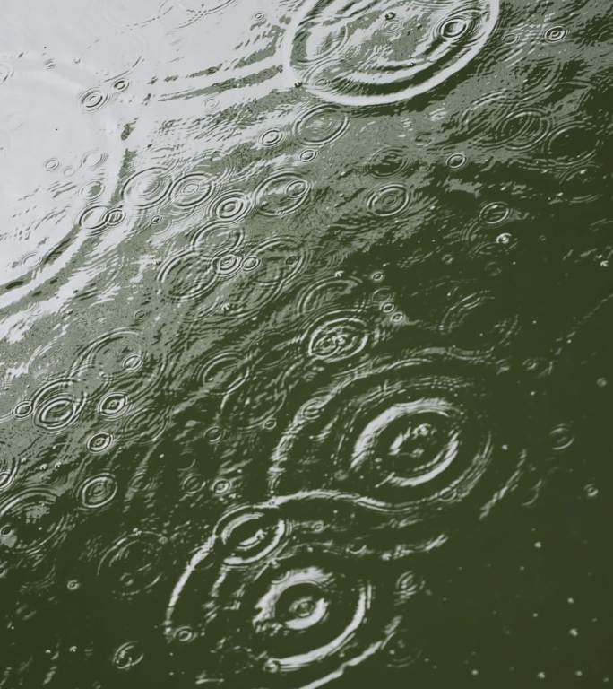 雨水雨滴落在湖面溅起水花波纹竖版竖屏