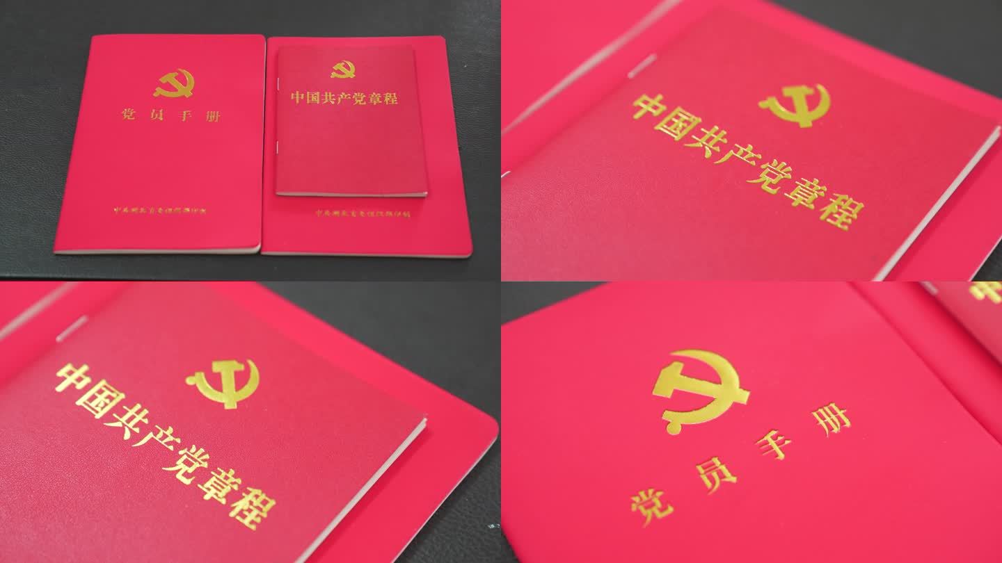 共产党党员手册 党章