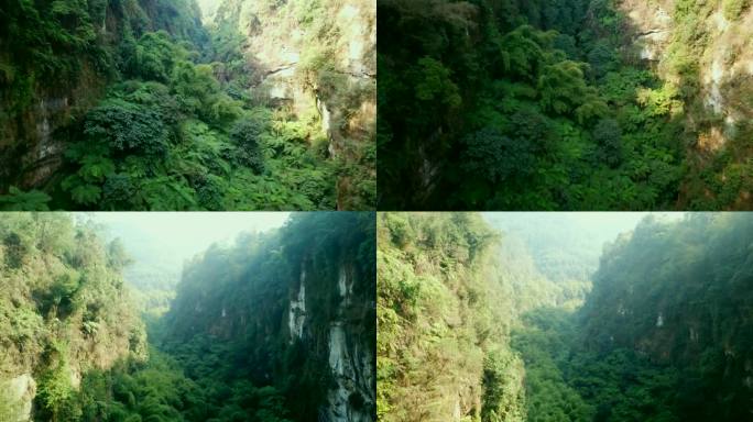 乐山桫椤峡谷航拍4K素材1
