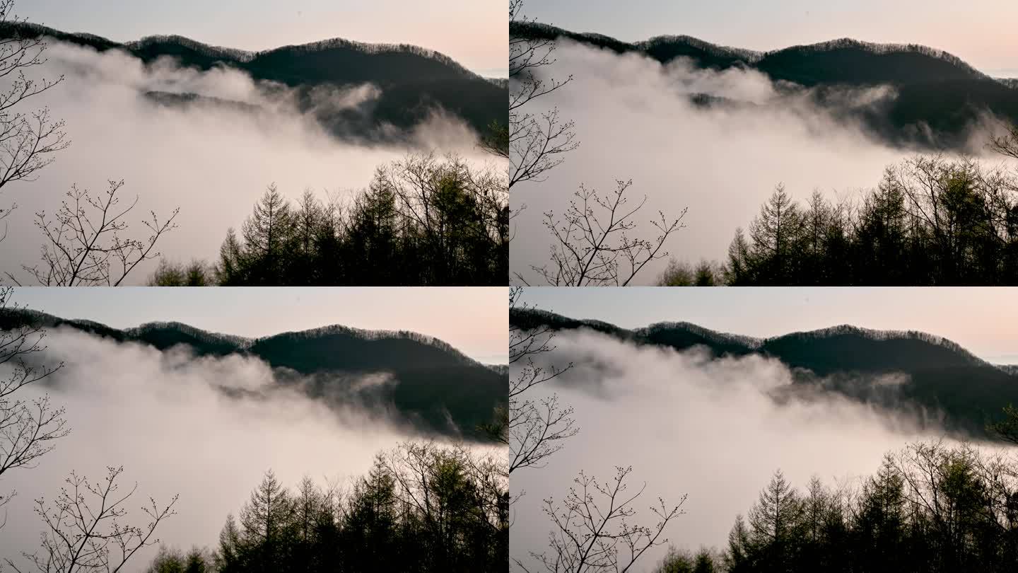清晨日出时流动的云雾