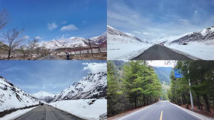 西藏波密第一视角 雪山道路 桃花