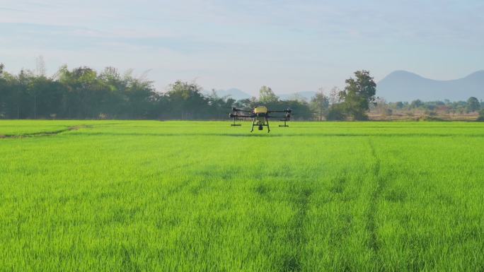 4K航拍农业无人机飞行和喷洒肥料