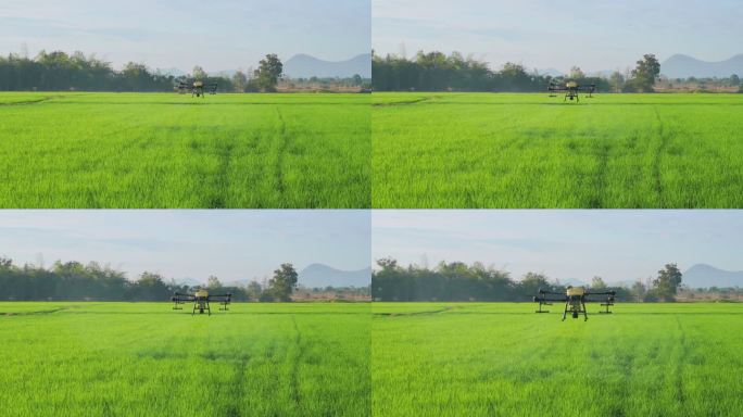 4K航拍农业无人机飞行和喷洒肥料