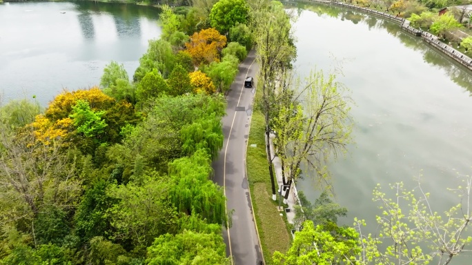 公园航拍春天成都东湖水边公路城市天际线