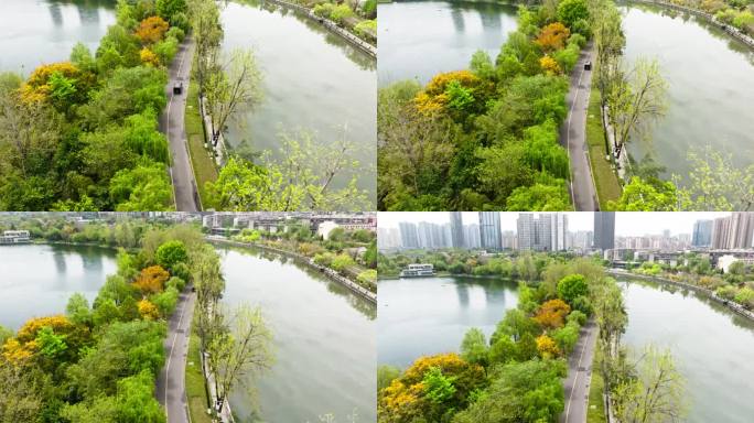 公园航拍春天成都东湖水边公路城市天际线