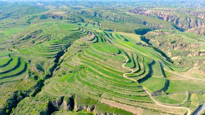 山西吕梁梯田5K素材