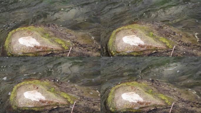 河水、石头、流动1080p120帧