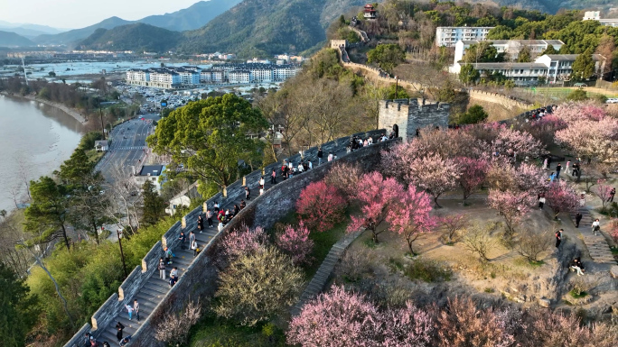 台州府城文化旅游区临海梅园风光航拍