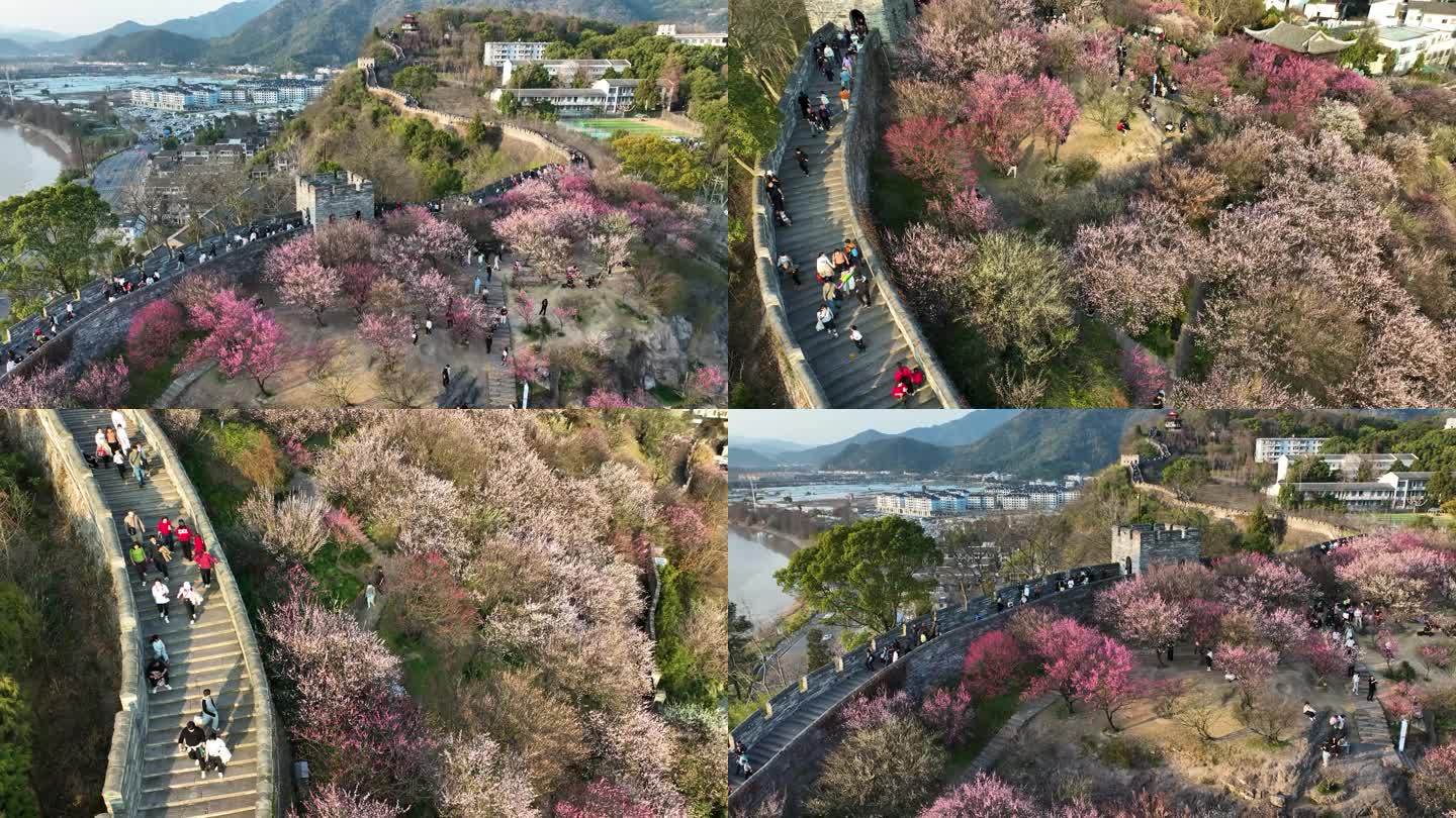 台州府城文化旅游区临海梅园风光航拍