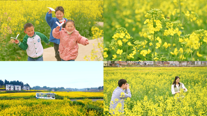 油菜花乡村振兴农业旅游 孩子奔跑