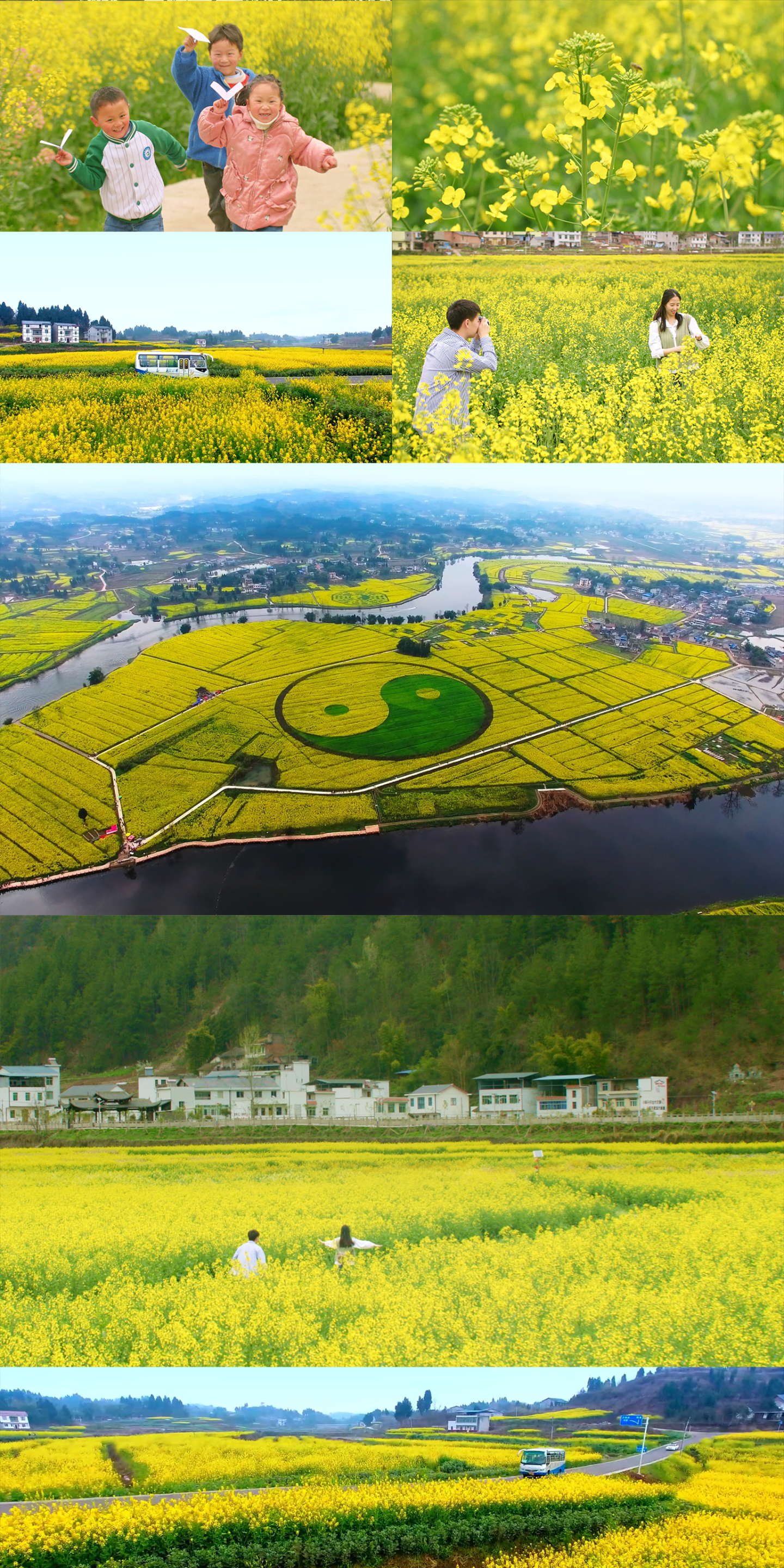 油菜花乡村振兴农业旅游 孩子奔跑