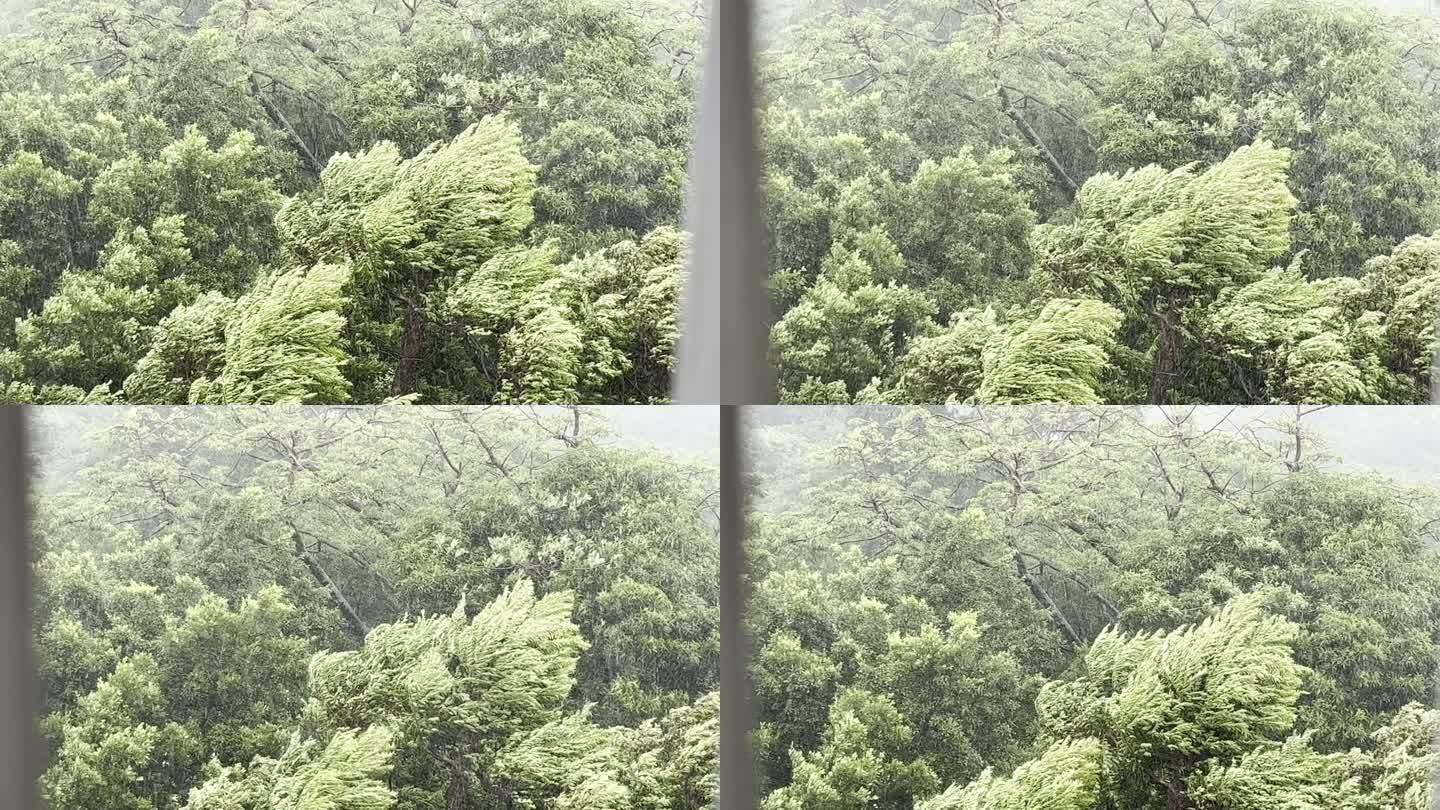 空镜素材狂风骤雨