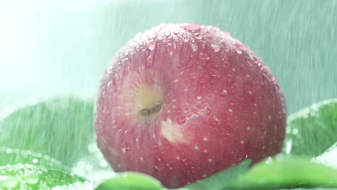 新鲜 苹果 红苹果 光影 雨中 绿叶