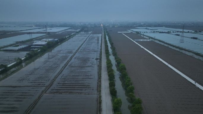 大棚种植地航拍