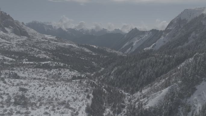 甘南洛克之路航拍雪景云海DLOG