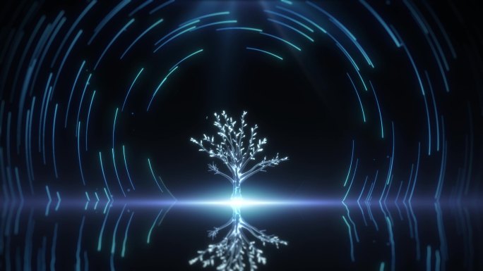 星陨粒子树生长动效