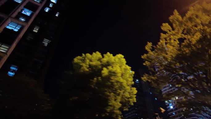 城市马路街头夜景视频素材6