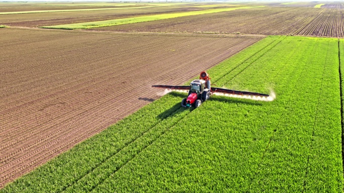 4K航拍拖拉机上的农民喷洒年春小麦作物