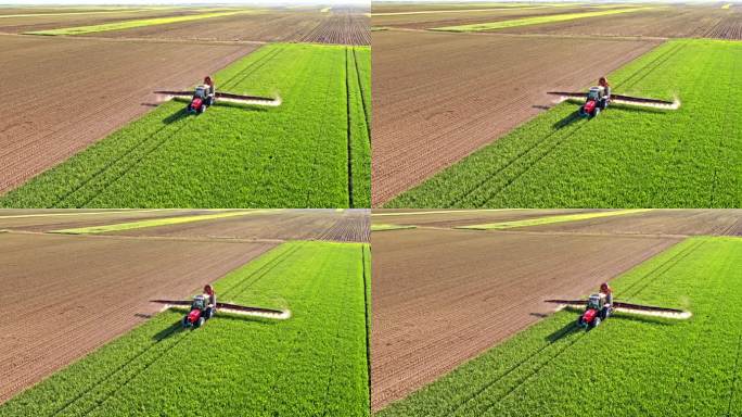 4K航拍拖拉机上的农民喷洒年春小麦作物