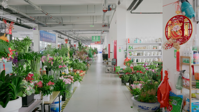 花鸟鱼虫仓鼠鹦鹉花鸟市场