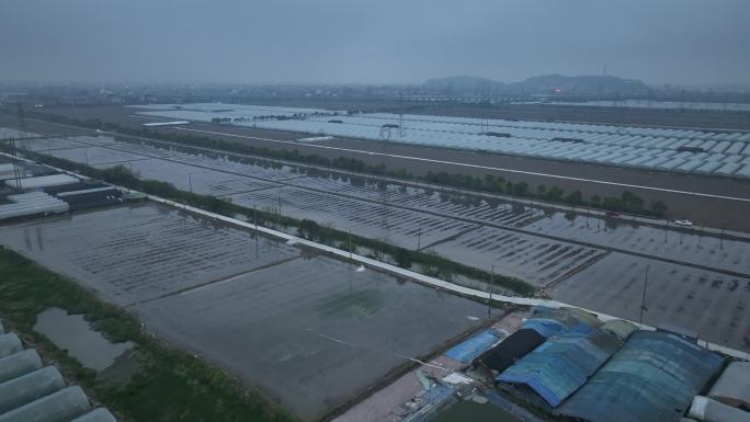 大棚种植地航拍