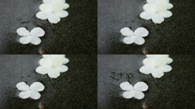 雨水打在掉落地面的白色花瓣上