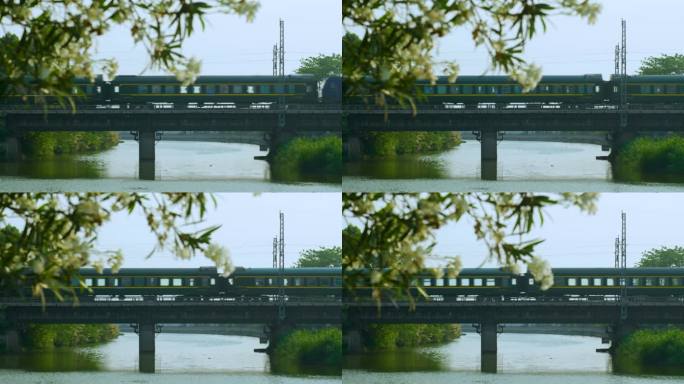 春天花开绿皮火车过桥