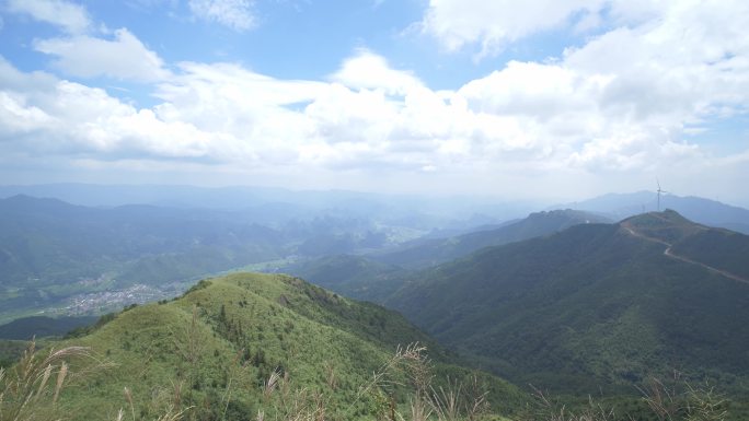 绿色自然风景