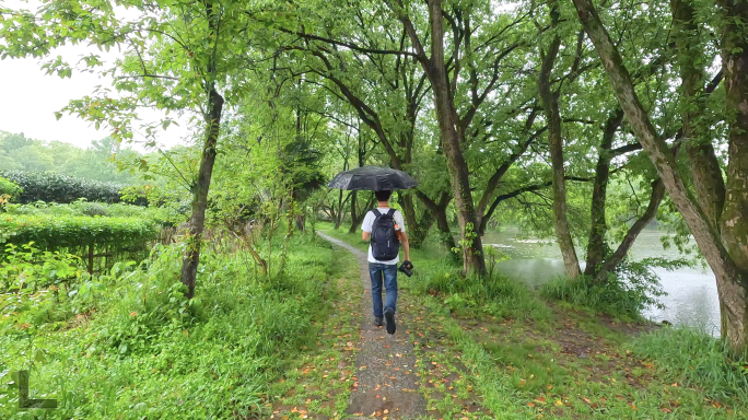 雨天雨中徒步绿野仙踪