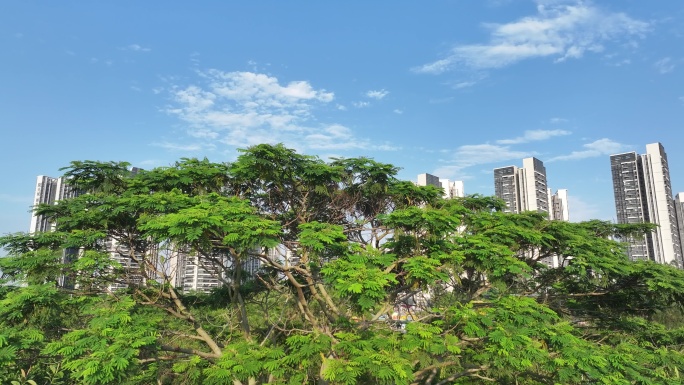 中国广东省广州市南沙区阳光城丽景湾星悦